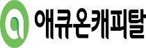 애큐온캐피탈